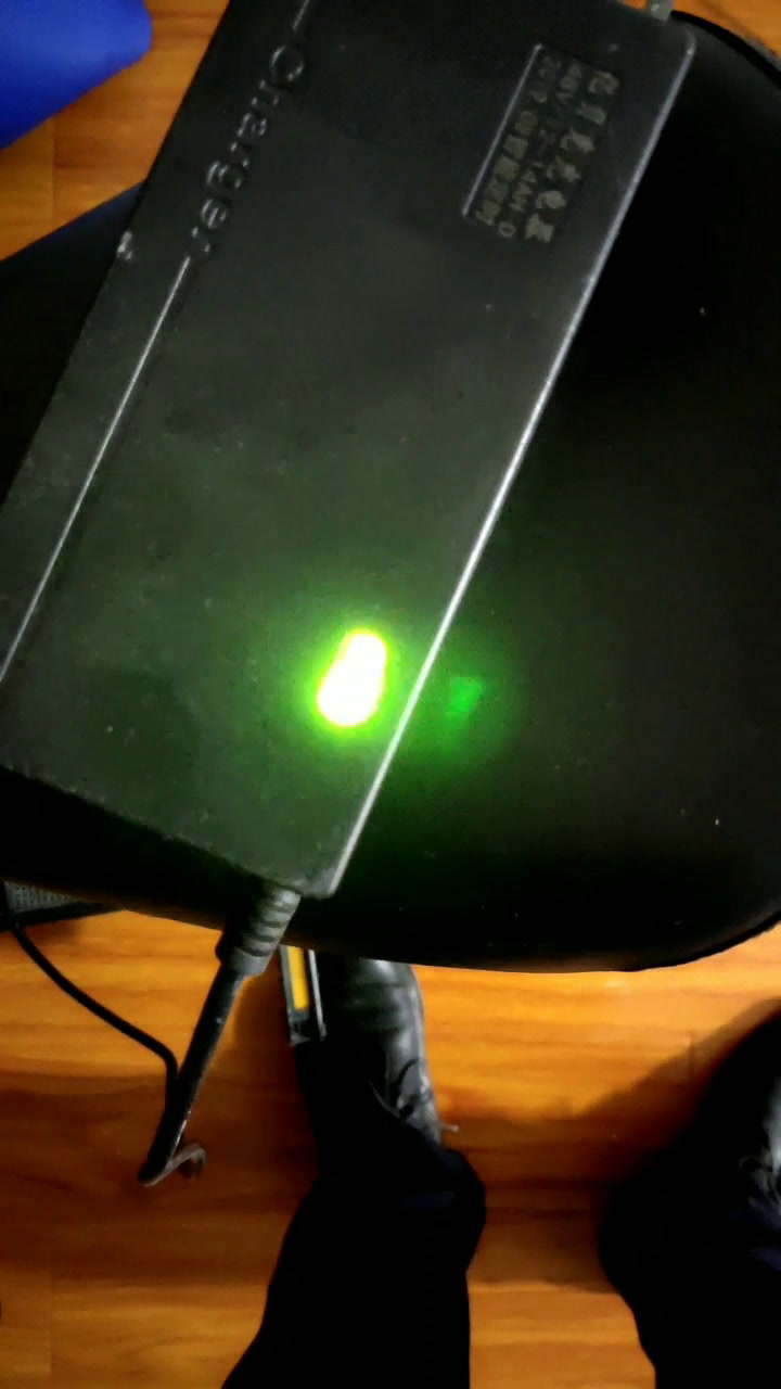 电瓶车一个多月没骑,原本剩余电量也不多,今天充电充电器灯一直闪,求