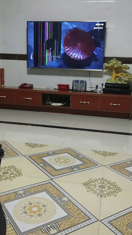 海信电视被小孩砸了,黑屏了,像这样还能维修吗?