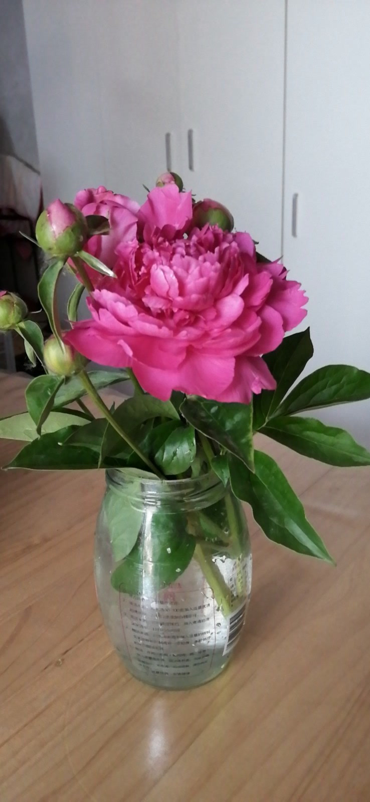 芍药花插入水中怎样保活?