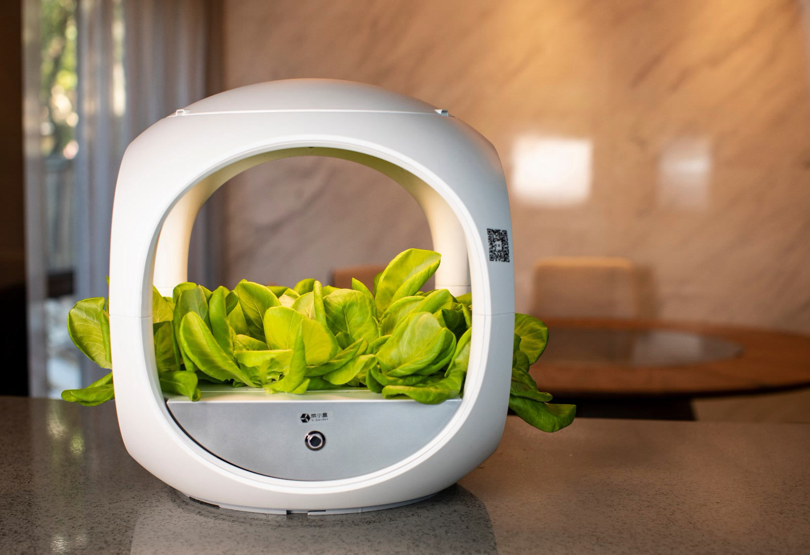 菜小盒智能家庭水培种植机怎么样?