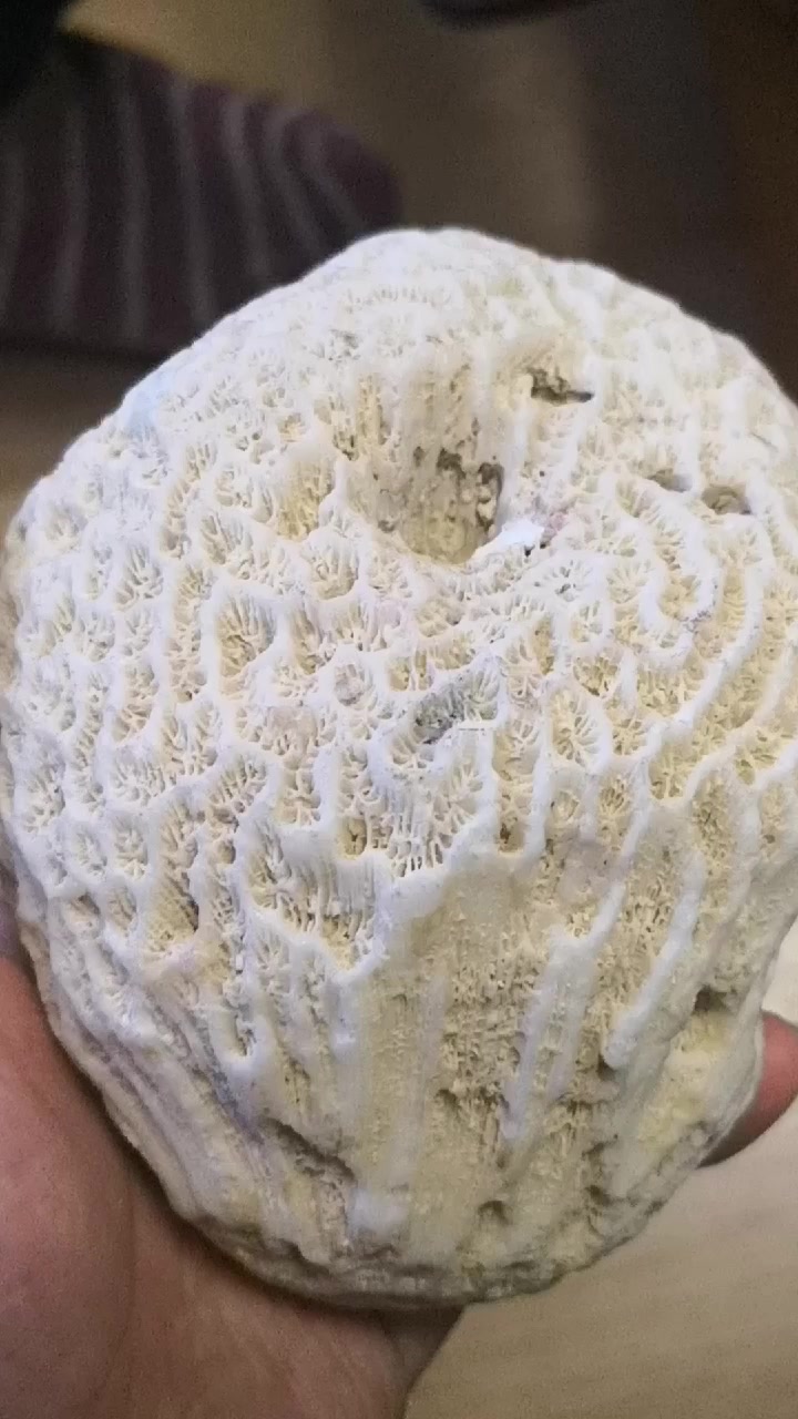 请问这是什么石头,上面的纹路是怎么形成的?